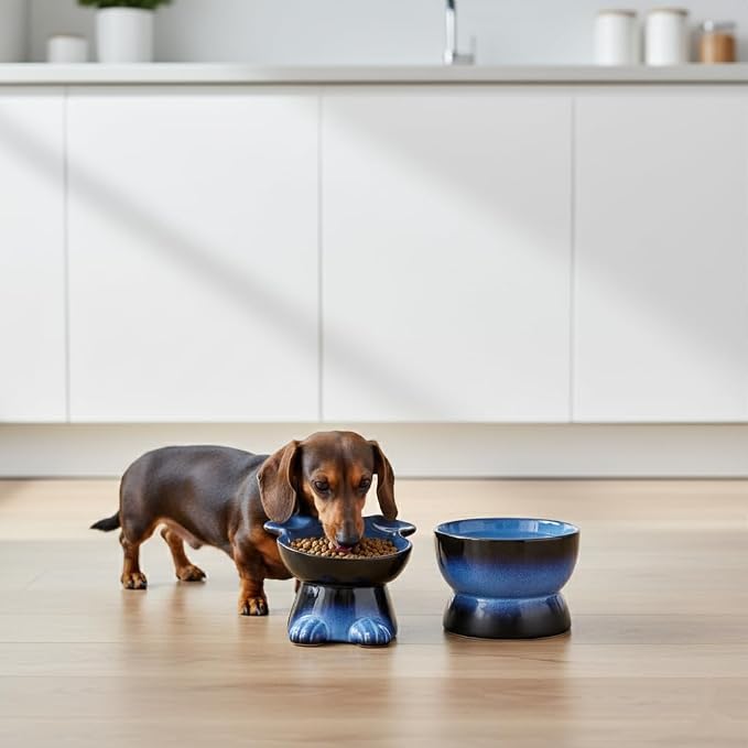 Nihow Dog Food & Water Bowls: Elevated Ceramic Bowls for Medium/Small Dog | Food Safe Raised Puppy Bowls - Vivid Blue Pet Bowl for Protecting Pet's Spine (Set of 2) - Image 8