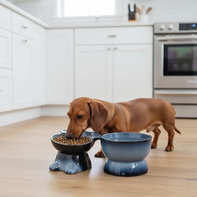 Nihow Dog Food & Water Bowls: Elevated Ceramic Bowls for Medium/Small Dog | Food Safe Raised Puppy Bowls - Gray Pet Bowl for Protecting Pet's Spine (Set of 2) - Image 7