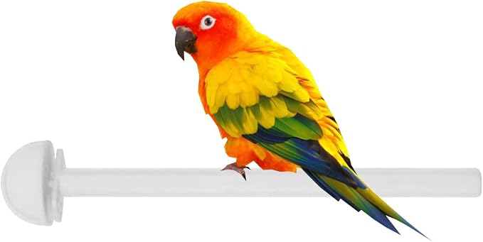 Lot of Ten Aviary Breeding Breeder Bird Cages for Lovebird Finch Parakeet - Mixed Colors (3 Blue Dome Top, 3 Green Roof Top, 4 Yellow Flat Top) - 11.5" W x 9" D x 15.5" H with 3/8" Bar Spacing - Image 9
