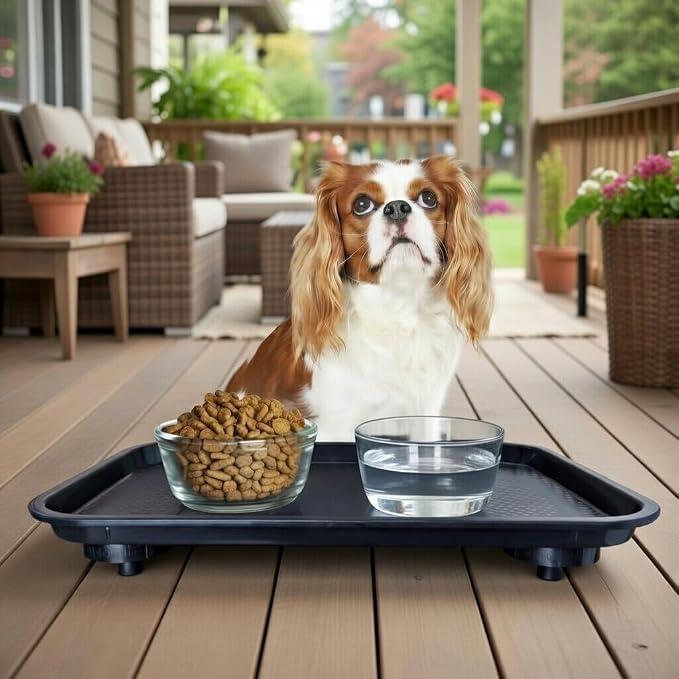 Ant Proof Tray - Waterless, Moat Free Cat and Dog Food Tray for Crawling Pest Free Pet Food Feeding Station. Kitchen Sweets and Trash, Ant Free Platform. - Image 9
