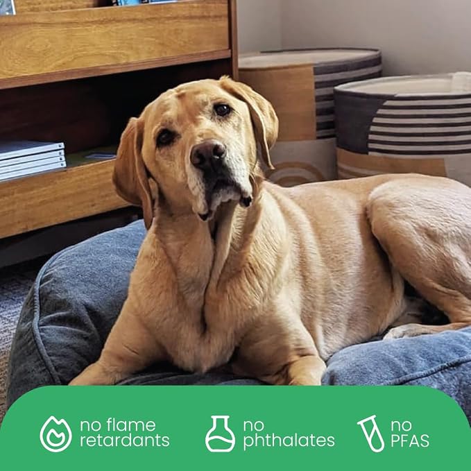 Molly Mutt Dragonstone Dog Bed Duvet Cover, GOTS-Certified 100% Cotton Canvas Cover for Dog, Puppy, or Cat Bed, Durable, Washable, and Free of Harmful Chemicals, Huge, 36"x45"x5", Blue - Image 6