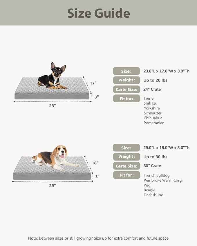 NUPIDA Orthopedic Dog Beds for Small Dogs Waterproof with Removable Washable Cover and Non-Slip Bottom, Quilting Dog Bed for Crate, 23x17 Inch, Light Gray - Image 8