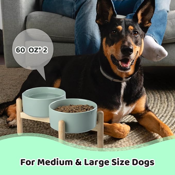 SPUNKYJUNKY Ceramics Elevated Dog Bowls with Wooden Stand Raised Bowl for Medium Large Dog Food and Water Pet Feeding Bowl(Double 60OZ Bowls,Light Green) - Image 7