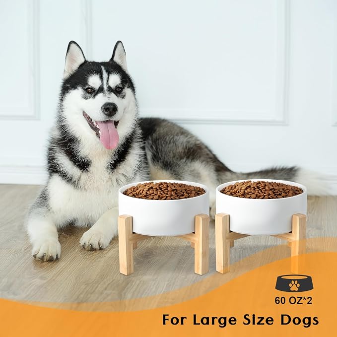 SPUNKYJUNKY Ceramic Elevated Dog Bowls 2 Pack - 8.3inch Raised Dog Bowls with Non-Slip Wooden Stand for Large Dogs Dishwasher Safe(White,60OZ*2) - Image 7