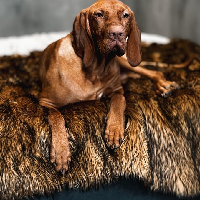 IHAPPYDOG Faux Fur Dog Blanket, Waterproof Couch Cover, Brown 80"x60" | Plush Sheepskin Style Pet Throw for Sofa, Bed, and Car, Washable Furniture Cover that Protects From Fur and Spills - Image 8