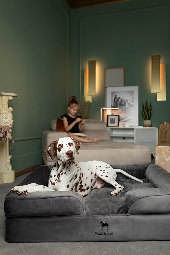 NOAH & PAW XL Dog Bed, 45x35x11 Inch, Orthopedic Large Dog Beds, Eggshell Memory Foam Infused with Cooling Gel, Inner Cover, Water Resistant, Machine Washable (Velvet Sofa Collection) - Image 8