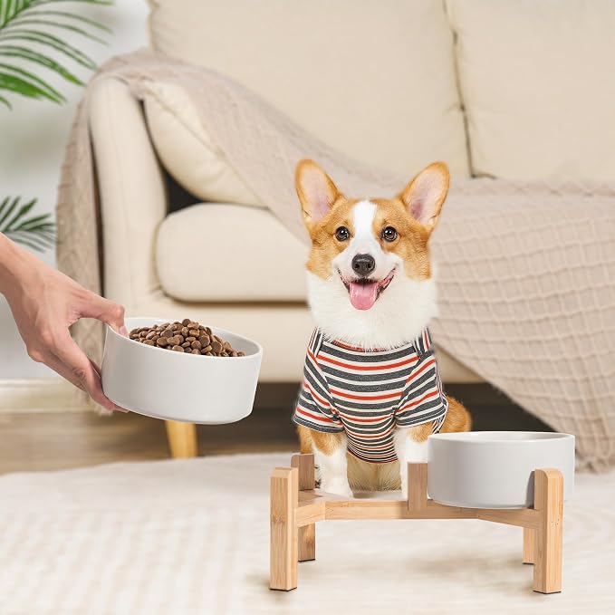 Elevated Ceramic Dog Bowl, 3.6 Cups Dog Food and Water Bowl Set with Stand | 6.1'' Double Dog Feeding Dishes, Non-Slip Raised Dog Feeder for Small and Medium Breeds, 28.74 OZ / 850 ML, White - Image 6
