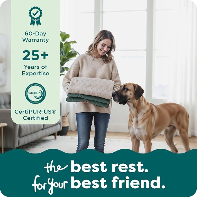 FurHaven Dog Bed Cover Replacement, Sofa-Style Design with Soft, Breathable Fabric for Cozy Comfort, Machine Washable, Jumbo XL, Plush & Velvet Waves, Celadon Green - Image 9