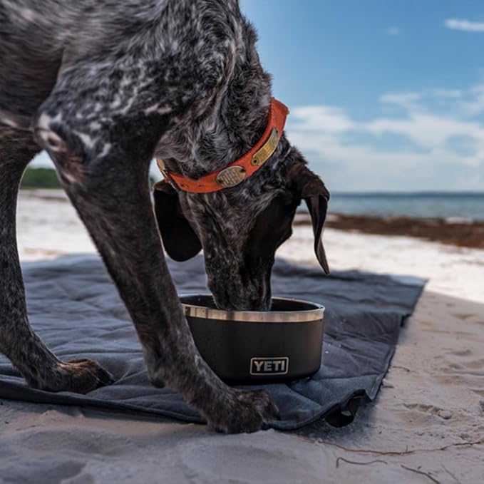 YETI Boomer 8, Stainless Steel, Non-Slip Dog Bowl, Holds 64 Ounces - Image 7