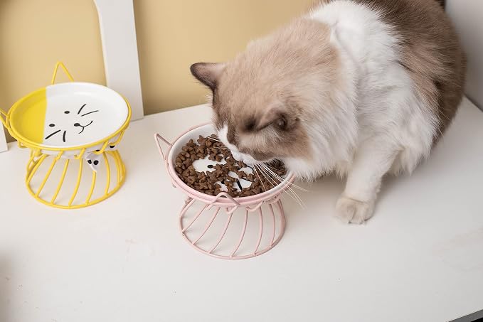 Set of 2 Elevated Ceramic Cat Dishes, Pink & Blue | Pink & Blue Set Detachable Bowls Elevated Design Whisker Friendly Non-Slip Pads - Image 8