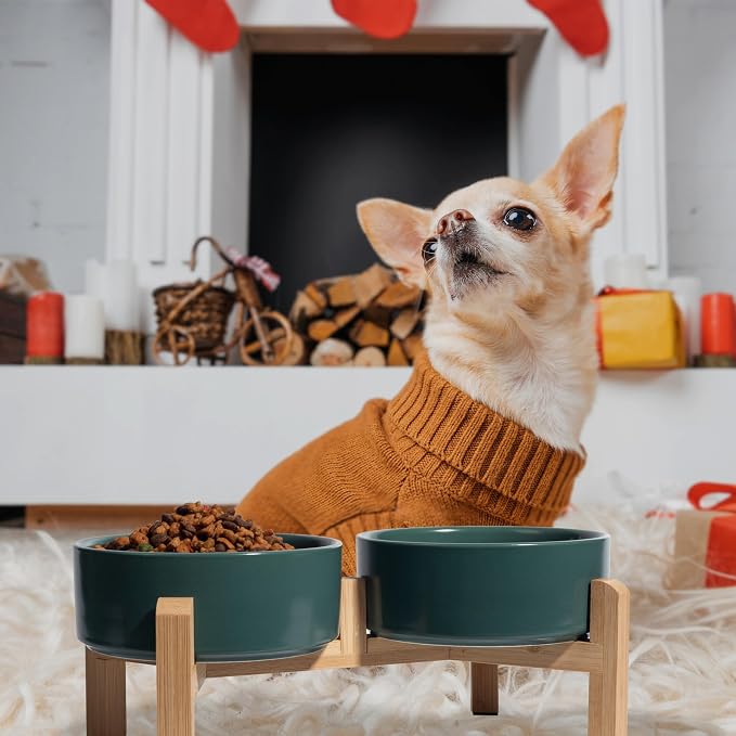 Elevated Ceramic Dog Bowl, 2 Cups Dog Food and Water Bowl Set with Stand | 5.1'' Double Dog Feeding Dishes, Non-Slip Raised Dog Feeder for Cats and Puppies, 16.23 OZ / 480 ML, White - Image 6
