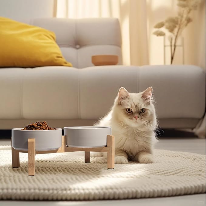 Elevated Ceramic Dog Bowl, 2 Cups Dog Food and Water Bowl Set with Stand | 5.1'' Double Dog Feeding Dishes, Non-Slip Raised Dog Feeder for Cats and Puppies, 16.23 OZ / 480 ML, White - Image 6