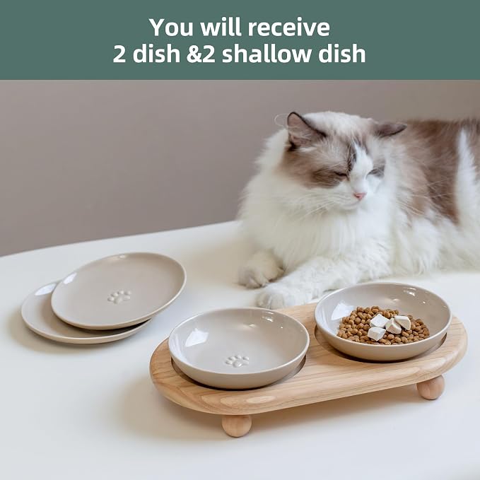 Havniva Elevated Cat Bowls, Raised Ceramic Cat Bowl with Stand, Two Heights | Cat Food & Water Bowl Set, Whisker Friendly, 5.6” Raised Cat Dishes + 6” Shallow Cat Plates, Non-slip Wood Stand, Kitten Bowl - Image 6