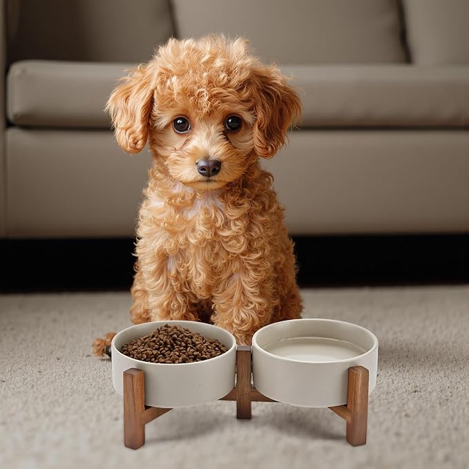 SPUNKYJUNKY Ceramic Dog Bowls Set with Acacia Wood Stand - Raised Dog Food and Water Bowl for Small Dogs (13.52 OZ, Gray) - Image 7