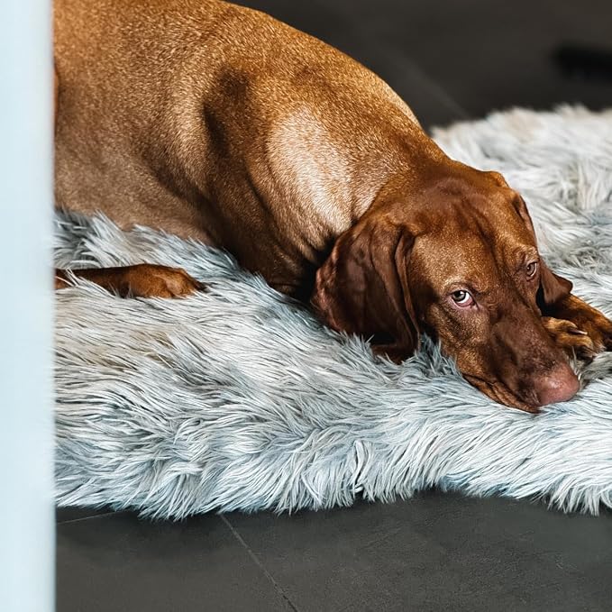 Faux Fur Orthopedic Dog Bed, Memory Foam, Grey 40"x25" | Plush Washable Dog Rug with Waterproof Machine Washable Cover, Calming for Anxious Senior Dogs, Relieves Joints - Image 8