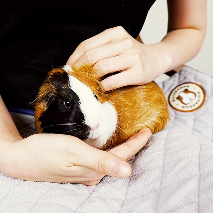 GuineaDad Original Liner - Gray Fleece Guinea Pig Bedding - Reusable Guinea Pig Cage Liner - Extra Absorbent Liner with Waterproof Bottom - Small Pet Supplies - Image 7
