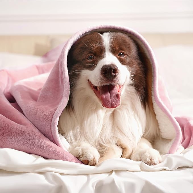 gogobunny Waterproof Bed Blanket, Reversible Sherpa Fleece Throw Blanket for Dog Puppy Cat, Furniture Cover Protects Bed Couch Sofa from Liquid Pee and Pet Fur (Pink, 30x70 inches) - Image 9