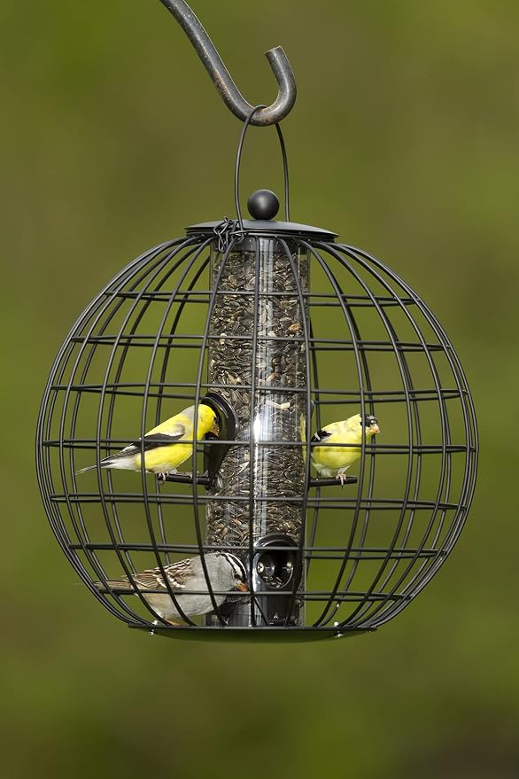 Gardener's Supply Company Globe Cage Bird Feeder | Outdoor Sturdy and Squirrel Proof Hanging Cage | Best for Finches Hummingbirds Nuthatches and Other Small Birds - Holds 3 Cups of Seeds - Image 9