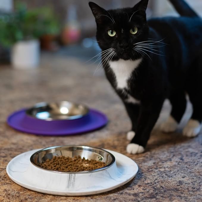 Messy Cats Single Silicone Feeder, Stainless Bowl, 1.75 Cup, Marble | Non-Slip Silicone Cat Feeding Station With Removable Stainless Steel Saucer Bowl For Food Or Water - Image 6