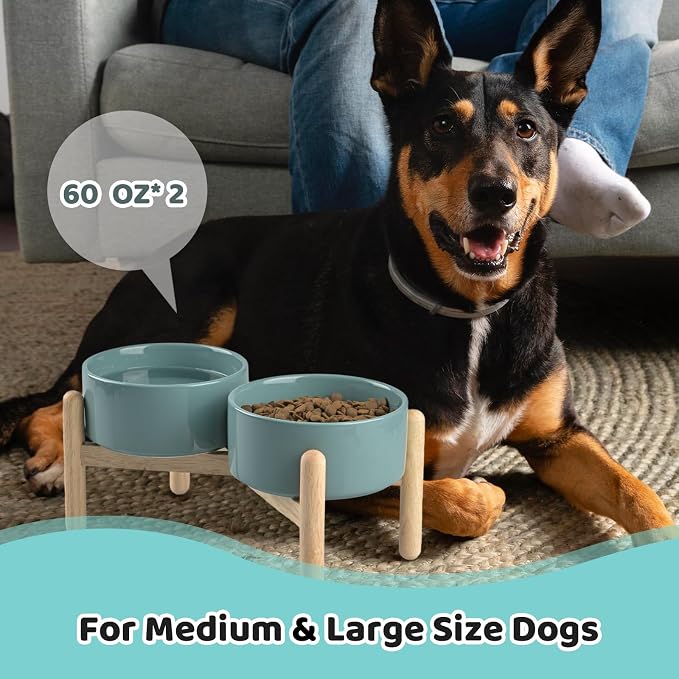 SPUNKYJUNKY Ceramics Elevated Dog Feeding Stand with Wooden Base - Double 60oz Bowls for Medium Large Dogs (Dark Green) - Image 7