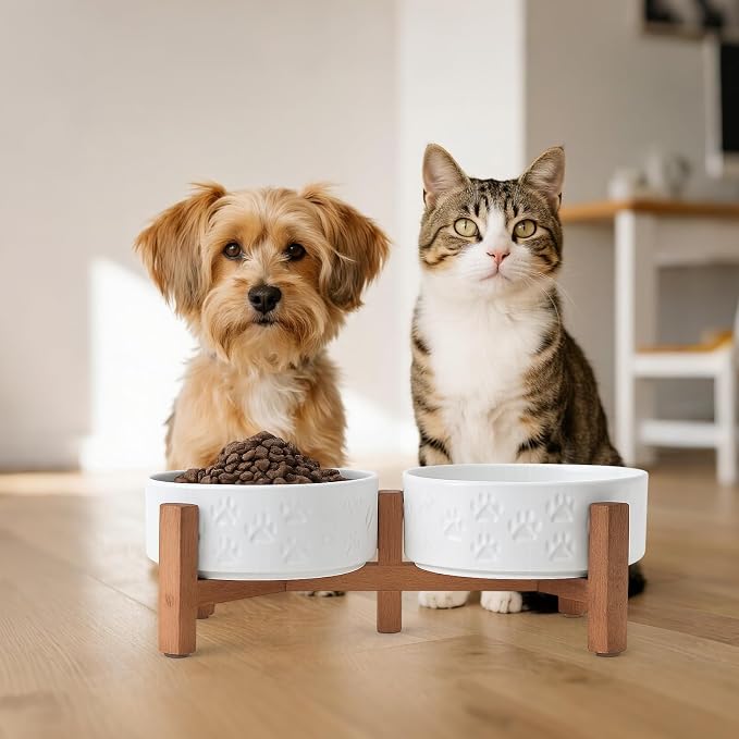 SPUNKYJUNKY Ceramic Elevated Dog Bowl Set with Acacia Wood Stand for Food and Water for Cats and Small Dogs (13.52 OZ, White, Dog Paw Pattern) - Image 7