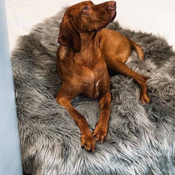 IHAPPYDOG Faux Fur Dog Blanket, Waterproof Couch Cover, Grey 80"x60" | Plush Sheepskin Style Pet Throw for Sofa, Bed, and Car, Washable Furniture Cover that Protects From Fur and Spills - Image 7