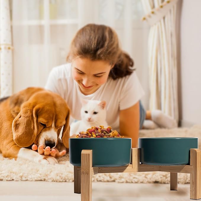 Elevated Ceramic Dog Bowl, 3.6 Cups Dog Food and Water Bowl Set with Stand | 6.1'' Double Dog Feeding Dishes, Non-Slip Raised Dog Feeder for Small and Medium Breeds, 28.74 OZ / 850 ML, White - Image 6