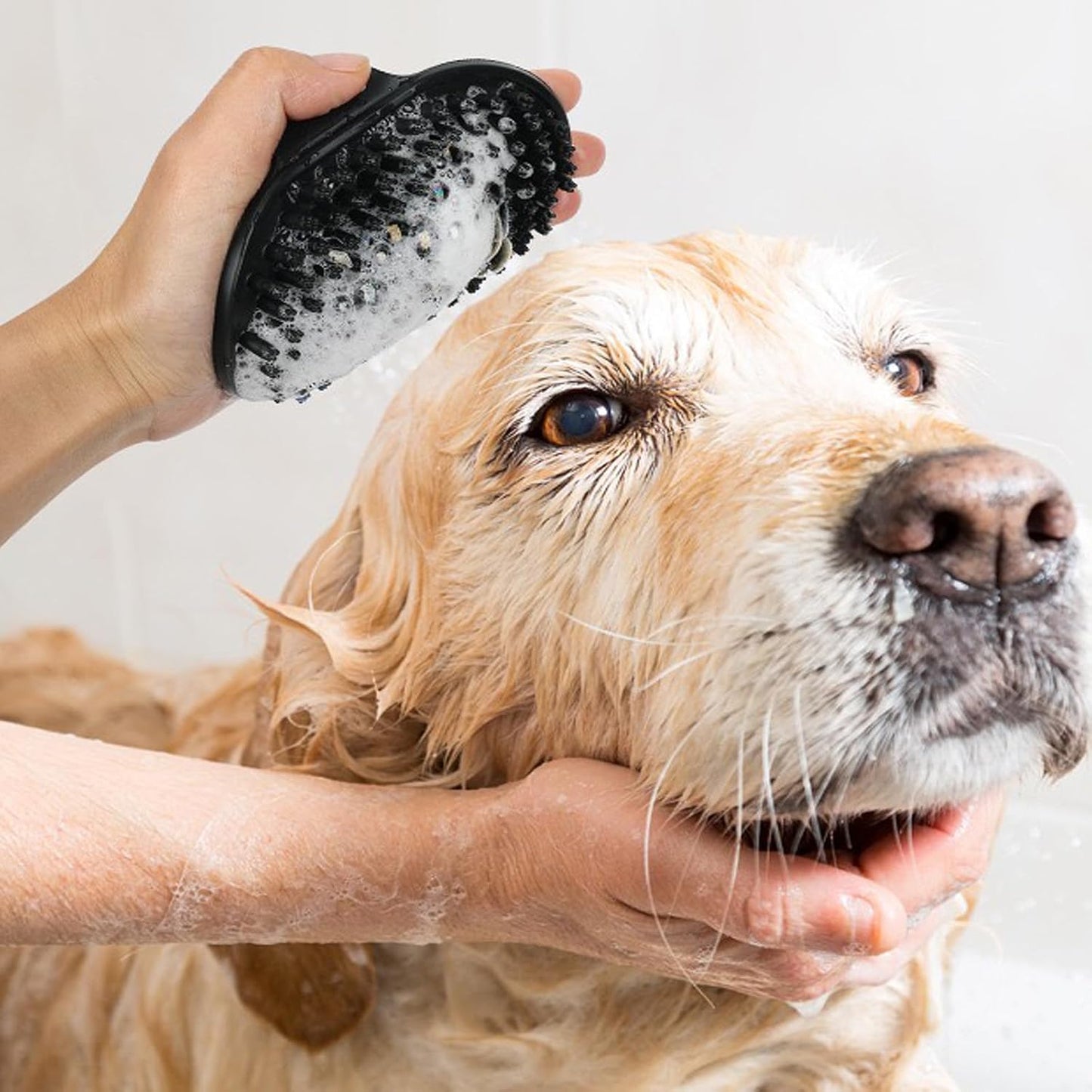 Dog Brush Kit for Grooming Short & Long Haired Dogs & Cats, 4-in-1 Pet Grooming Set with Self-Cleaning Slicker Brush, Deshedding Tool, Shampoo Bath Comb, Massge Comb (Blue Black)