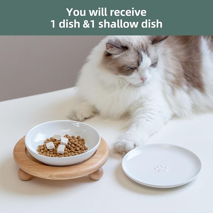 Havniva Elevated Cat Bowls, Raised Ceramic Cat Bowl with Stand, Two Heights | Cat Food & Water Bowl Set, Whisker Friendly, 5.6” Raised Cat Dishes + 6” Shallow Cat Plates, Non-slip Wood Stand, Kitten Bowl - Image 6