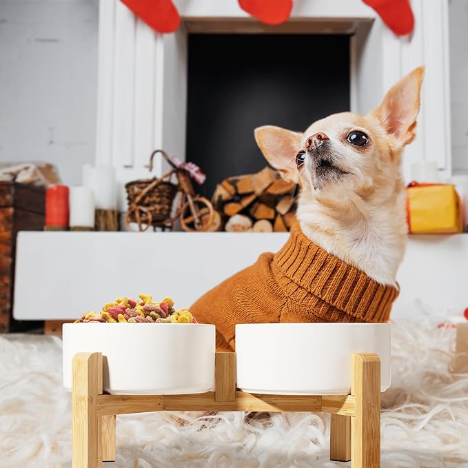 Elevated Ceramic Dog Bowl, 3.6 Cups Dog Food and Water Bowl Set with Stand | 6.1'' Double Dog Feeding Dishes, Non-Slip Raised Dog Feeder for Small and Medium Breeds, 28.74 OZ / 850 ML, White - Image 6