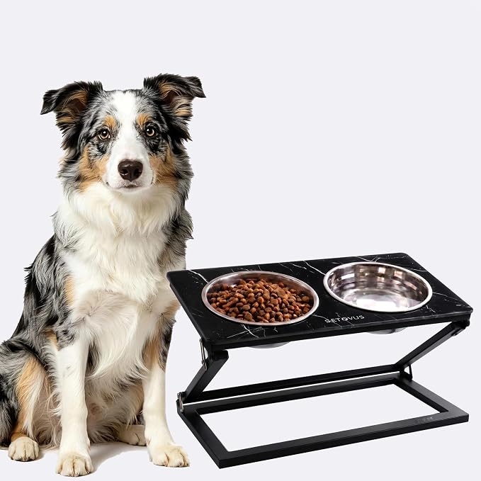 Elevated Dog Bowl, Adjustable Height and Tilt Angle Dog Bowl Stand | Precisely Adjust Height And Tilt Angle, Easy To Clean, Equipped With 2 Stainless Steel Food Bowls, Sturdy And Durable. - Image 8