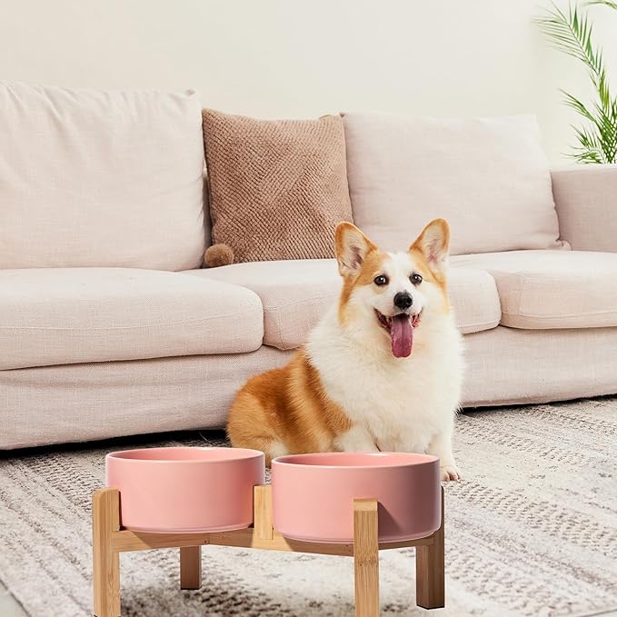 Elevated Ceramic Dog Bowl, 3.6 Cups Dog Food and Water Bowl Set with Stand | 6.1'' Double Dog Feeding Dishes, Non-Slip Raised Dog Feeder for Small and Medium Breeds, 28.74 OZ / 850 ML, White - Image 6