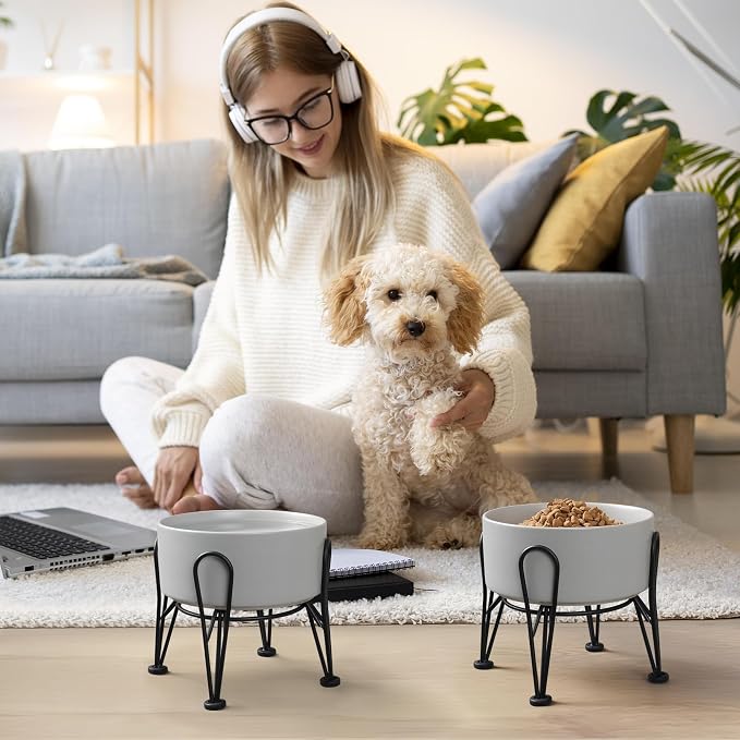 Elevated Dog Bowls, Ceramic Raised Dog Bowl Set with Anti-Slip and Non-Tip Metal Stand, 2 Pack Pet Food and Water Feeding Bowls for Small and Medium Dogs (Gray,3.6 Cups) - Image 6