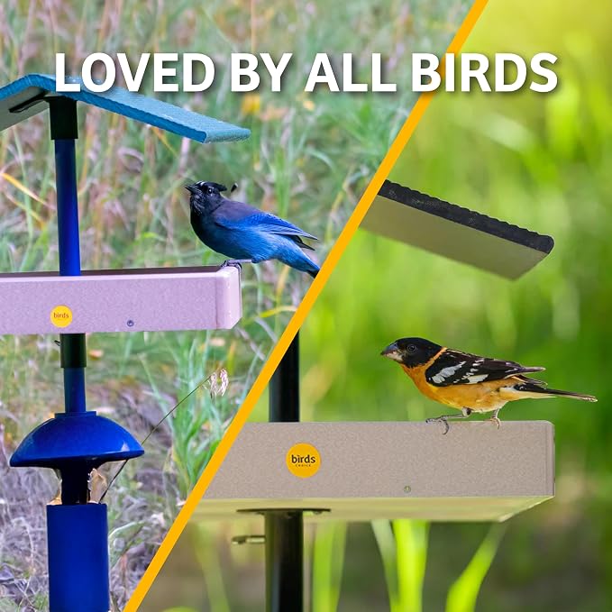 Birds Choice Pole Mount Seed Catcher Platform Feeder | Medium, Taupe | Recycled Plastic with 2 Removable Seed Trays, Catches Fallen Seed to Reduce Waste, Easy to Clean - Image 14