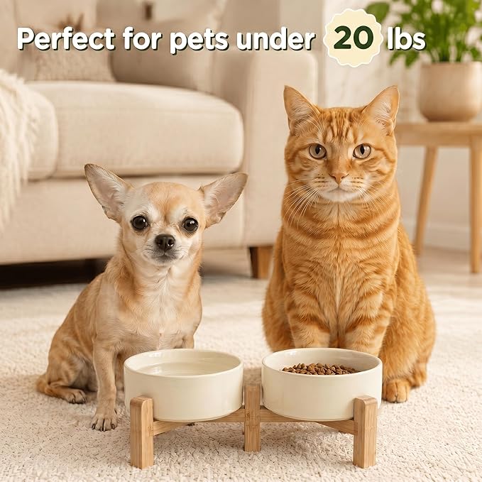 SPUNKYJUNKY Elevated Dog Bowls Ceramic, 5.1'' Dogs and Cat Food Water Bowls Raised with Non-Slip Bamboo Stand for Puppy Small Sized Breed Microwave Dishwasher Safe - 13.5 OZ,Beige - Image 7