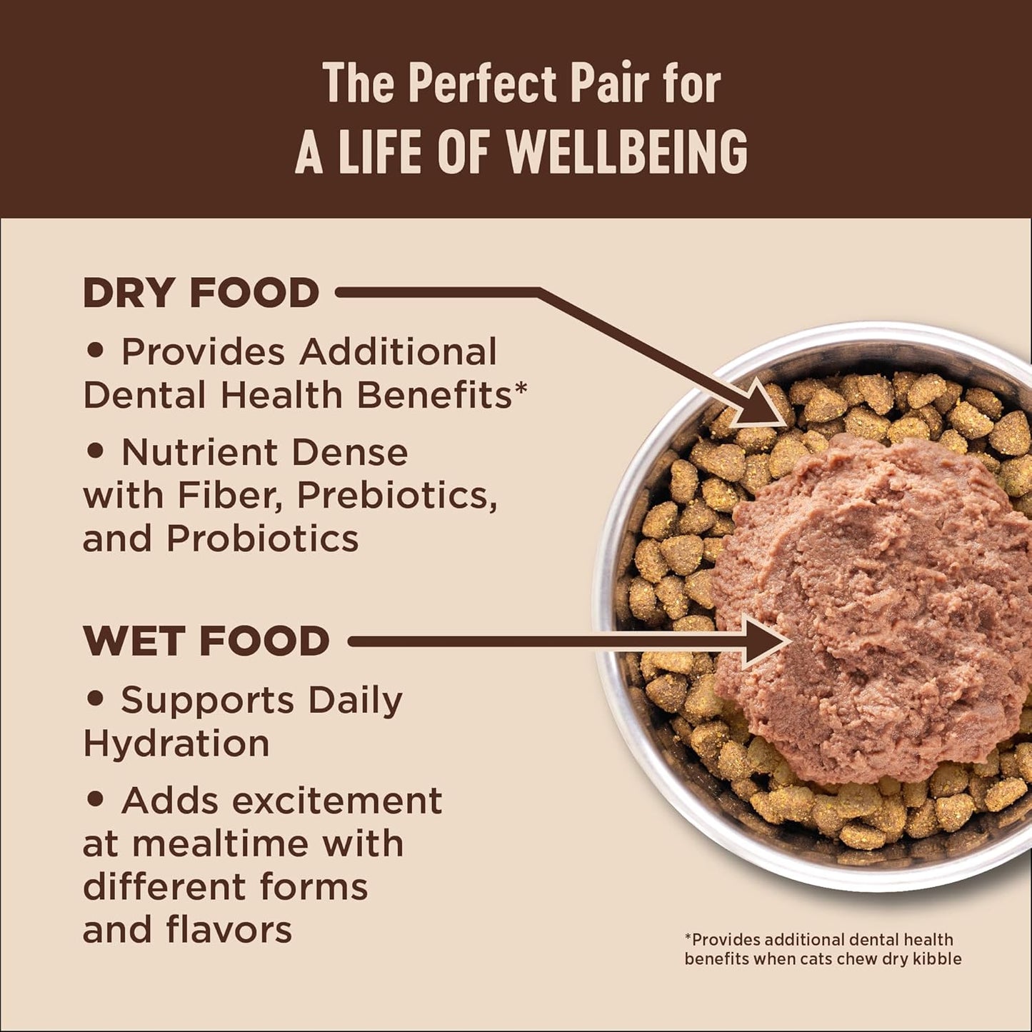 Wellness CORE+ Digestive Health Pate Adult Wet Cat Food, Natural, Protein-Rich, Grain Free, 3 Ounce, 12 Pack (Salmon)