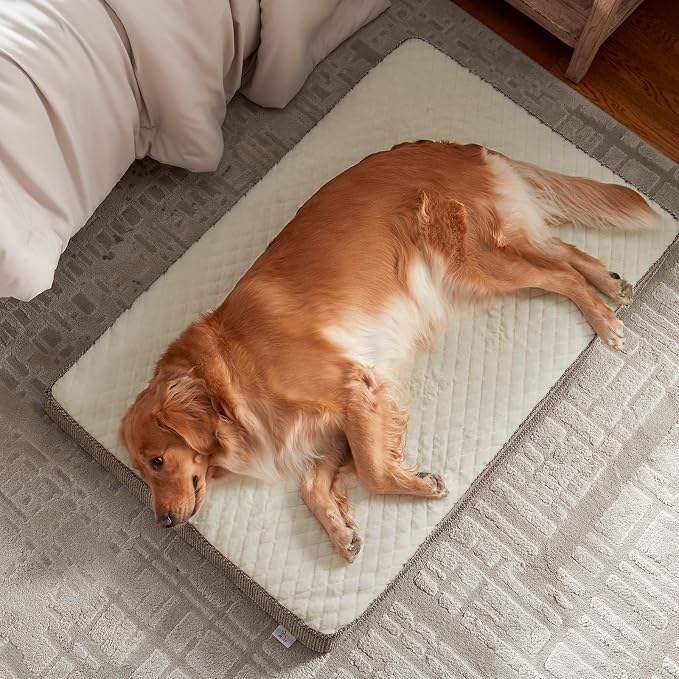 JOEJOY Orthopedic Dog Bed XL, Washable Dog Crate Bed Large Sized with Removable Cover, Egg Memory Foam Big Pet Beds, Beige, 41"x27" - Image 9