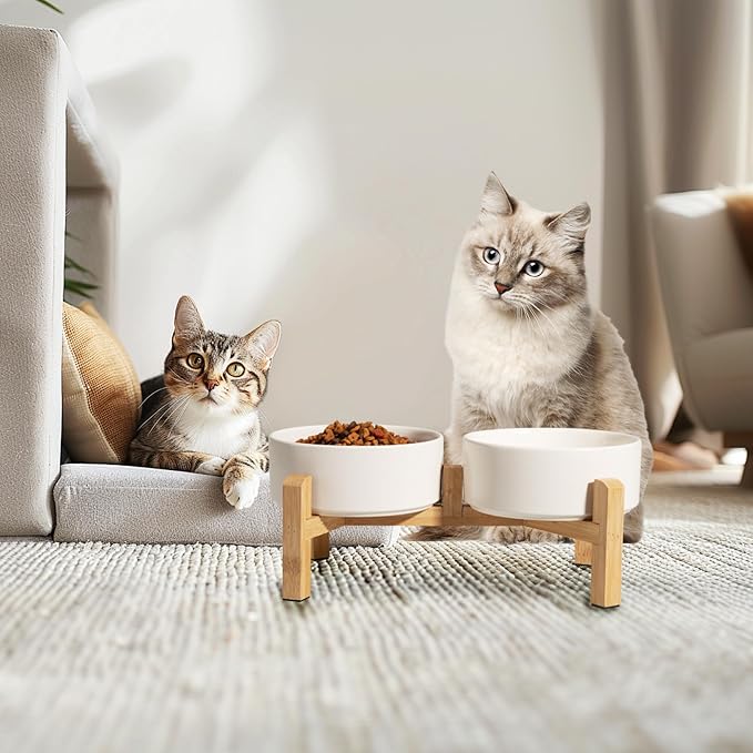 Elevated Ceramic Dog Bowl Set - Raised Feeding Bowls with Non-Slip Bamboo Stand - Small Pet Dishes for Food and Water - Ideal for Cats and Puppies - 16.23 OZ - 2 Cups - 480 ML | 5.1'' Double Dog Feeding Dishes, Non-Slip Raised Dog Feeder for Cats and P... - Image 6