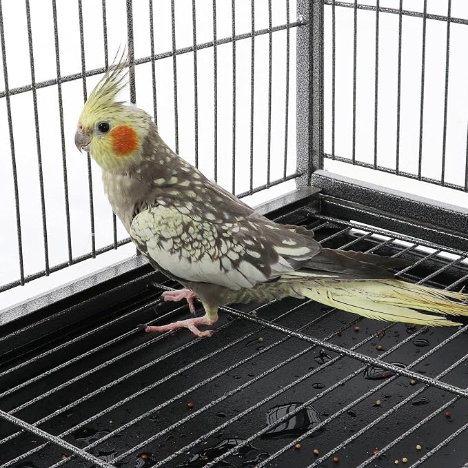 Yaheetech 60.5inch Extra Large Bird Cage Metal Parrot Cage Flight Cage for Cockatiels African Grey Quaker Green Cheek Sun Conure Medium Birds Parrots - Image 7