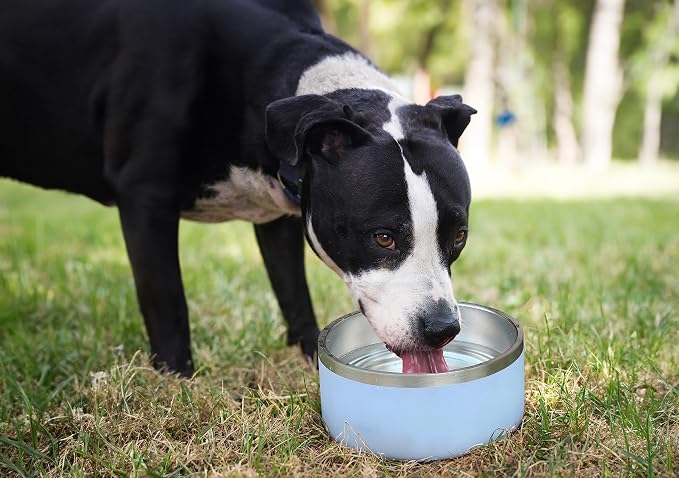 Alpine Set of 2 Stainless Steel Dog Bowls, Non Slip, Metal Pet Bowl for Food and Water, Double Walled Insulated, Rustproof, Dishwasher Safe- 32 Ounces - Black/White (AB) - Image 8