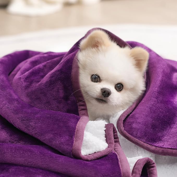 gogobunny Waterproof Pet Blanket for Small Dogs and Cats, Reversible Sherpa Fleece Soft Plush Throw for Couch Protection, Washable Furniture Protector (Dark Purple, 30x30 inches) - Image 5