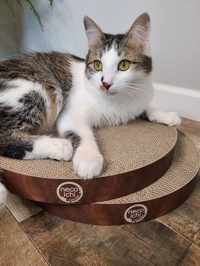 Necoichi Cat Scratcher Bowl Replacement for Indoor Cats - Cat Scratching Lounger with Reversible Usability and Extra Comfort for Lounge, Cardboard Bed Couch / (Regular, Dark Cherry) - Image 7