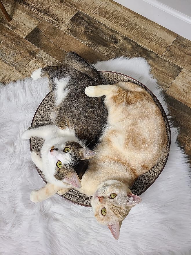 Necoichi Cat Scratcher Bowl for Indoor Cats - Cat Scratching Lounger with Reversible Usability and Extra Comfort for Lounge, Cardboard Bed Couch / (Regular, Dark Cherry) - Image 9