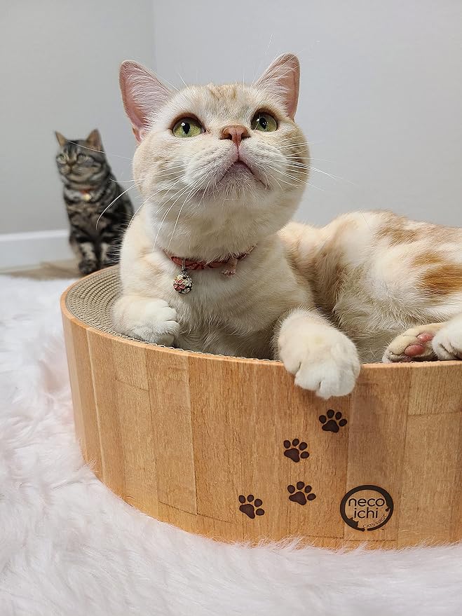 Necoichi Cat Scratcher Bowl for Indoor Cats - Cat Scratching Lounger with Reversible Usability and Extra Comfort for Lounge, Cardboard Bed Couch / (Regular, Oak) - Image 9