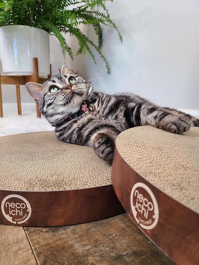 Necoichi Cat Scratcher Bowl Replacement for Indoor Cats - Cat Scratching Lounger with Reversible Usability and Extra Comfort for Lounge, Cardboard Bed Couch / (XL, Dark Cherry) - Image 6