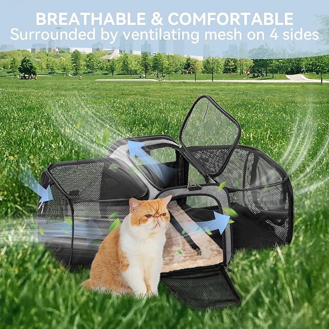 Petsfit 17" x 11" x 11" Airline-Approved Expandable Pet Carrier, 2X Square Expansion Reduces Pet Anxiety, Escape-Proof Self-Locking Zippers, 5 Easy-Access Entrances, for Cats & Small Dogs up to 15 lbs