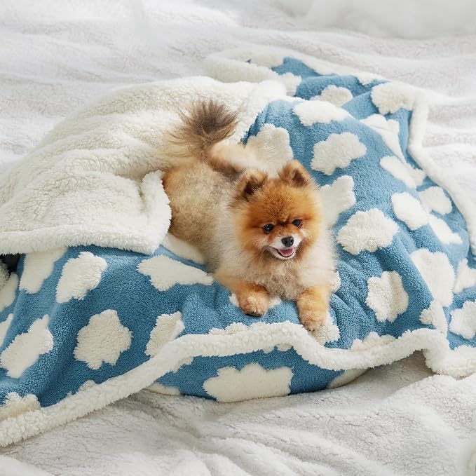 LE SURE Waterproof Dog Blankets for Small Dogs Cute Cozy 3D Jacquard,25x35 | Puppy Blanket for Cat Aesthetic Gift, Warm Soft Sherpa Throw Washable, Reversible Pet Couch Protector, Clouds Blue - Image 8