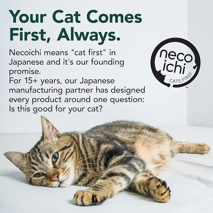 Necoichi Cat Scratcher Tower for Indoor Cats - Cat Scratching Post Lounger with Reversible Usability and Extra Comfort for Lounge, Cardboard Bed Couch / (Regular, Oak) - Image 8
