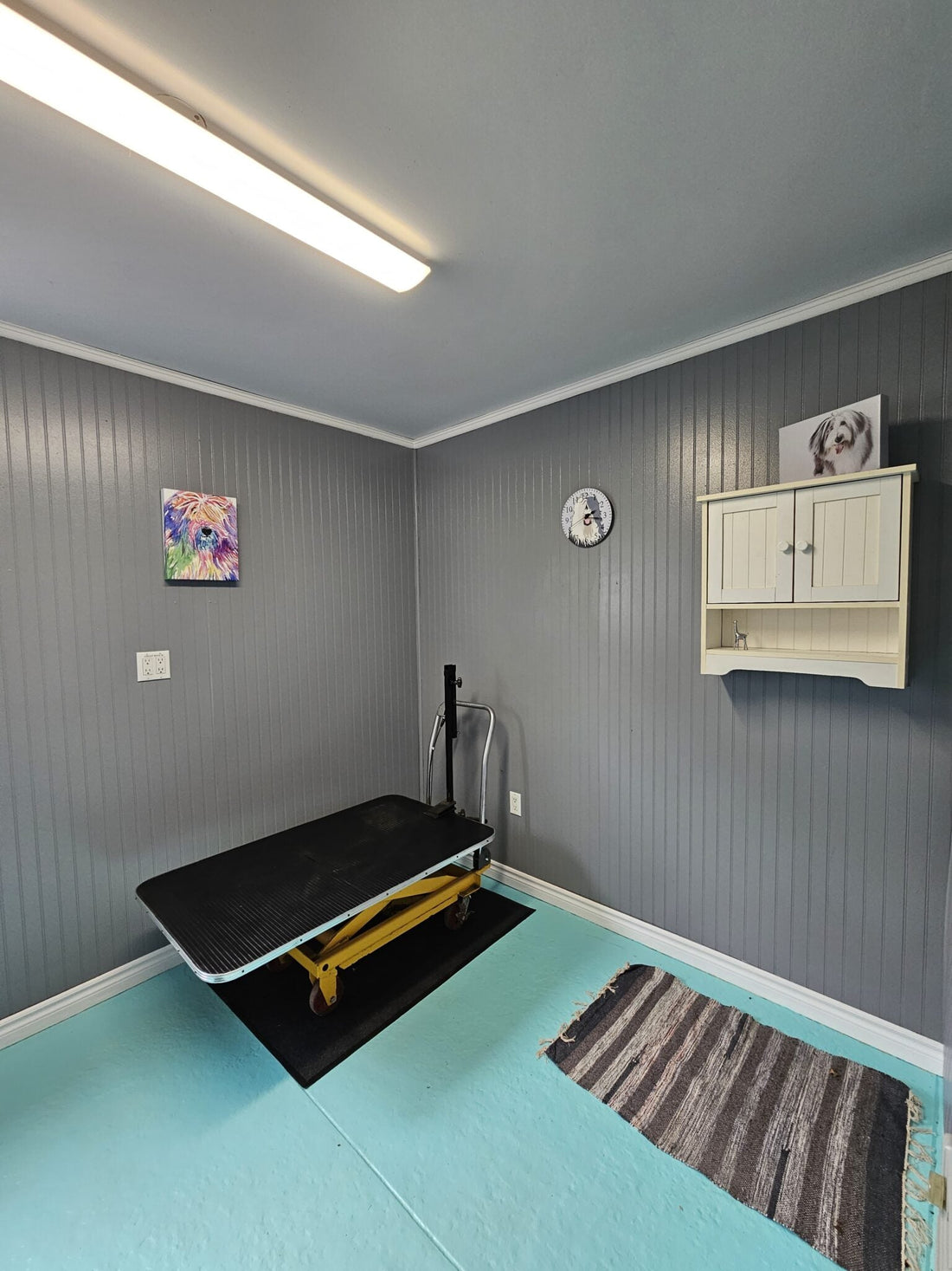 The Grooming Step Pet Owners Realize They Skipped After a Few Days