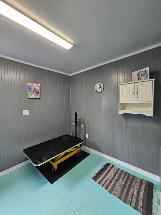 The Grooming Step Pet Owners Realize They Skipped After a Few Days